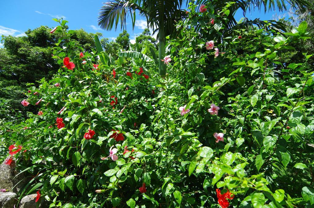 Cottage Views Yakushima (Kagoshima) Exterior foto