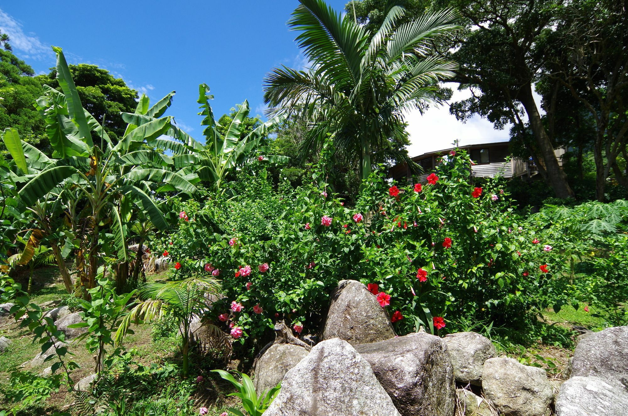 Cottage Views Yakushima (Kagoshima) Exterior foto